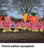 Loopgroep Carnaval, Ophalen of Verzenden, Overige maten