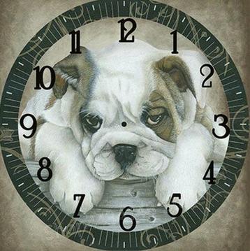 diamant boorduurklok bulldog 30 x 30 cm - de laatste € 5,00 beschikbaar voor biedingen