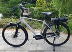 Stella Livorno Bosch Active line middenmotor garantie bijna, Versnellingen, Zo goed als nieuw, 57 tot 61 cm, Ophalen