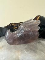 Draak schedel skull beschermt wijsheid passie kundalini, Ophalen of Verzenden, Nieuw