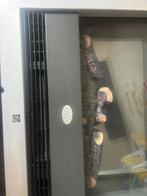 Elektrische sfeerhaard EWT, Ophalen, Zo goed als nieuw, Vrijstaande haard, Elektrische haard