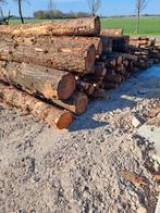 Stammen, 3 m l, droog hout winter 2025-2026 €85 per kuub, Tuin en Terras, 3 tot 6 m³, Ophalen of Verzenden, Stammen