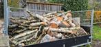 ca 3m³ Berk berkenhout brandhout stammen en armen, Tuin en Terras, Haardhout, Minder dan 3 m³, Ophalen