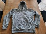 The North Face | hoodie | maat L, Ophalen of Verzenden, Zo goed als nieuw, Maat 52/54 (L), Grijs