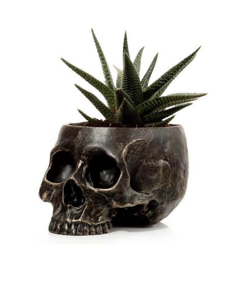 Schedel Bloempot - Kunsthars - Binnen/Buiten, Tuin en Terras, Bloempotten, Nieuw, Kunststof, Binnen, Minder dan 40 cm, Minder dan 25 cm