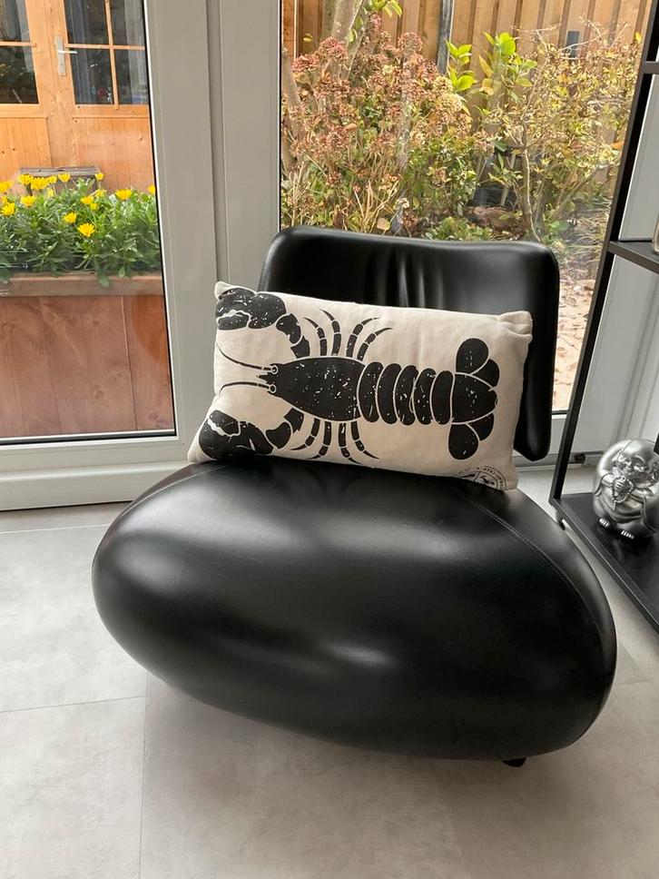 Leuke kussens kreeft, vis, krab, kreeft! Per stuk 3,00, Huis en Inrichting, Woonaccessoires | Kussens, Gebruikt, Beige, Rechthoekig