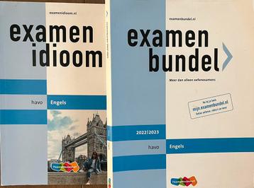 Tineke van Putten - havo Engels 2022/2023 beschikbaar voor biedingen