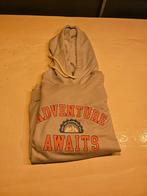 Grijze Hoodie LCW Casual Maat M, Kleding | Dames, Maat 38/40 (M), LCW Casual, Ophalen of Verzenden, Zo goed als nieuw