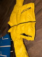 Dames jas, Superdry, Geel, Maat 42/44 (L), Ophalen of Verzenden