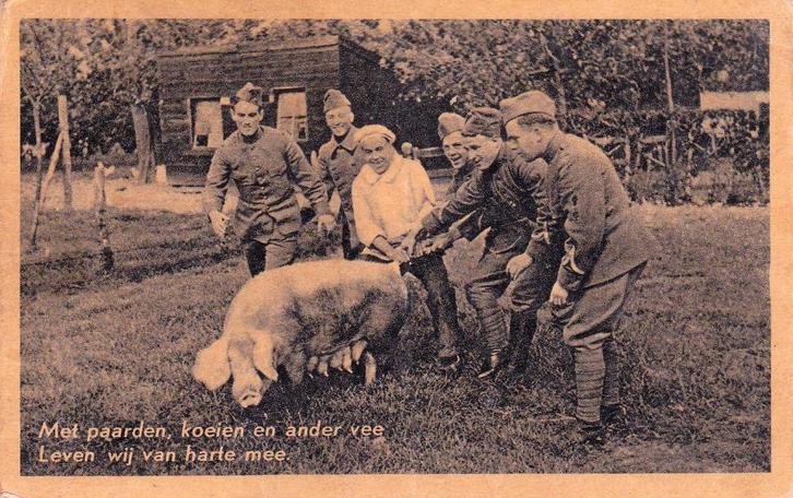 MET PAARDEN ,KOEIEN EN ANDER VEE LEVEN WIJ VAN HARTE MEE, Verzamelen, Ansichtkaarten | Nederland, Drenthe, Voor 1920, Verzenden