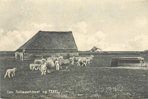 (701-352-009) Texel Schapenboer, Verzamelen, Ansichtkaarten | Nederland, Noord-Holland, Verzenden