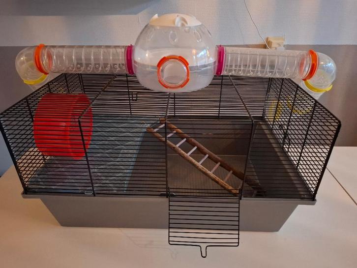 Hamster of muizen kooi met veel toebehoren, Dieren en Toebehoren, Knaagdieren en Konijnen | Hokken en Kooien, Gebruikt, Kooi, Minder dan 60 cm