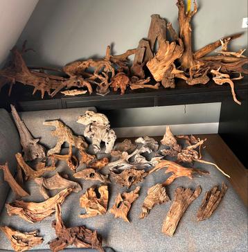+100 stuks driftwood / kienhout / spiderwood voor aquarium beschikbaar voor biedingen