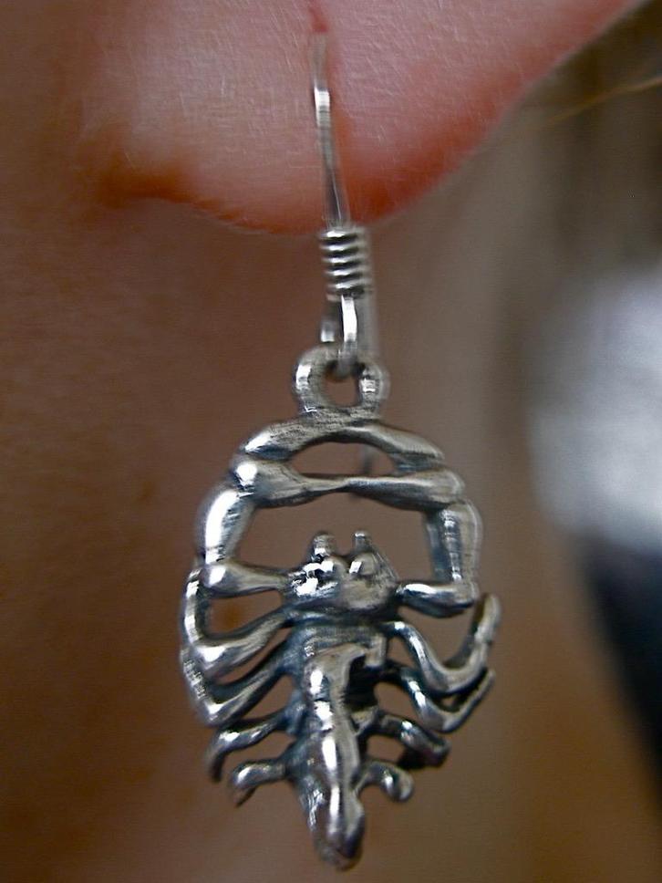 Zilveren 925 zilver oorhangers met mooi bewerkte schorpioen, Sieraden, Tassen en Uiterlijk, Oorbellen, Nieuw, Hangers, Zilver