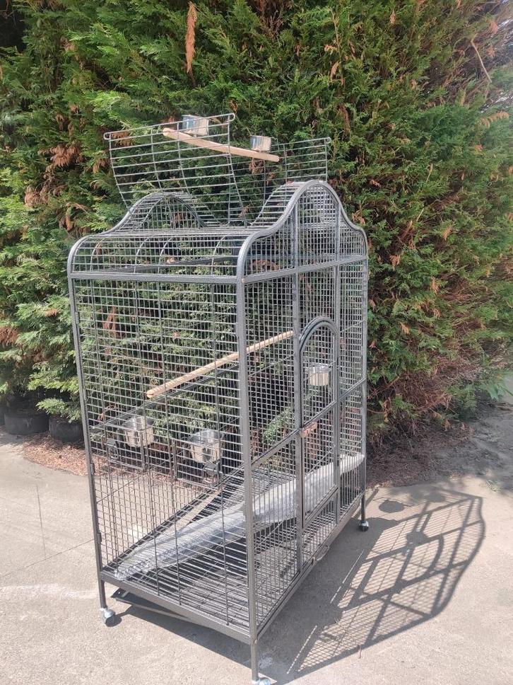 PAPEGAAIENKOOI, Dieren en Toebehoren, Vogels | Hokken en Kooien, Gebruikt, Vogelkooi, Metaal, Ophalen of Verzenden