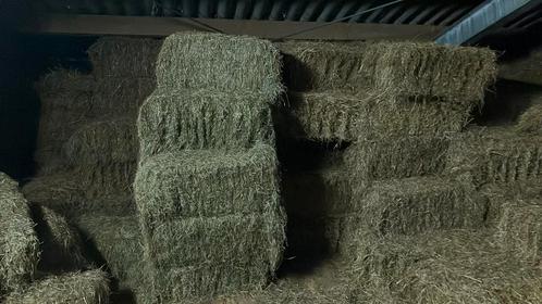 Hooi te koop, Dieren en Toebehoren, Dierenvoeding, Vee, Ophalen