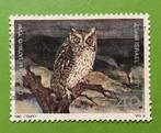 Uil, Ophalen of Verzenden, Dier of Natuur
