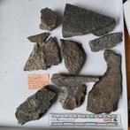 Lot 11x Trilobieten kerkhof Eodiscus Zweden, Ophalen of Verzenden, Fossiel