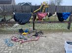 Allerlei van Shetlander tot full QHP Redhorse eskadron, Dieren en Toebehoren, Paarden en Pony's | Dekens en Dekjes, Ophalen