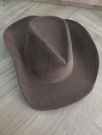 Cowboy hoed, Ophalen of Verzenden, Zo goed als nieuw, Carnaval, Accessoires