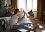 Ervaren hondenoppas honden oppas hondenopvang honden opvang, Diensten en Vakmensen, Dieren | Honden | Verzorging, Oppas en Les