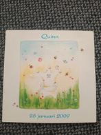 Rooduijn Dromelijn kaart, Ophalen of Verzenden, 2000 tot heden, Geboortekaartje