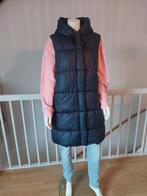Bodywarmer blauw Maat 46 nieuwstaat, Kleding | Dames, Ophalen of Verzenden, Zo goed als nieuw, Maat 46/48 (XL) of groter, Blauw