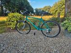 Raleigh Mountainbike, Fietsen en Brommers, Fietsen | Crossfietsen en BMX, Ophalen, 24 inch of meer, Gebruikt, Staal