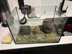 aquarium 40*25*25, Ophalen, Zo goed als nieuw, Leeg aquarium