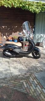 sym cello rijdt fantastisch geel kenteken, Ophalen, Gebruikt, Benzine, Overige modellen