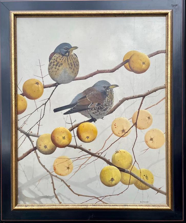 Bob Krans, Kraamvogels 50-40 cm nu sterk gereduceerde prijs., Antiek en Kunst, Kunst | Schilderijen | Klassiek, Ophalen of Verzenden