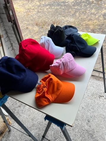 20 Petten beschikbaar voor biedingen