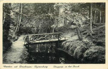 (388-398-033) Driebergen-Rijsenburg Bruggetje in het Bosch beschikbaar voor biedingen