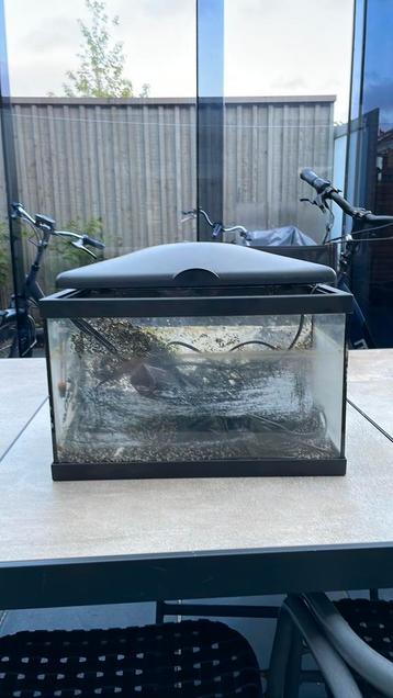 Aquarium met toebehoren beschikbaar voor biedingen