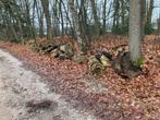 Openhaard hout, Minder dan 3 m³, Ophalen of Verzenden