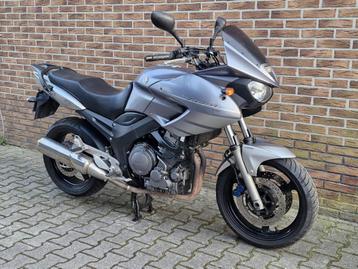 Yamaha Tour TDM 900 | 2006 | TDM900 beschikbaar voor biedingen