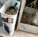 Grote Vogelkooi met Veel Accessoires — Zeer Complete Set!, Dieren en Toebehoren, Vogels | Hokken en Kooien, Ophalen, Gebruikt