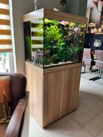 Jewel Lido 200 incl. onderkast, met Helialux spectrum lamp, Ophalen, Zo goed als nieuw, Gevuld zoetwateraquarium