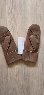 Schappen leer wanten, handschoenen, NIEUW, Ophalen of Verzenden, Nieuw, Handschoenen
