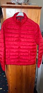 Donzen rode jas, Ophalen of Verzenden, Nieuw, Rood