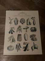 Poster groentes., Ophalen of Verzenden, Nieuw, Rechthoekig Staand, Overige onderwerpen