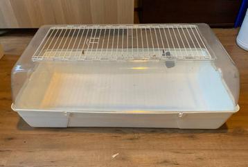Grote plastic knaagdierkooi beschikbaar voor biedingen
