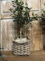 Brynxz Hanging Basket Square Rattan S, Huis en Inrichting, Woonaccessoires | Schalen en Manden, Nieuw, Mand, Ophalen of Verzenden