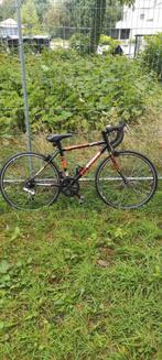 Tienerfiets, Ophalen of Verzenden, Zo goed als nieuw, Overige typen
