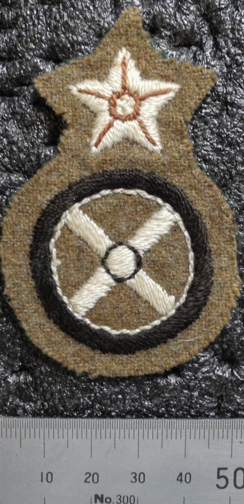 Vaardigheidsembleem Chauffeur-Monteur  , Verzamelen, Militaria | Algemeen, Landmacht, Embleem of Badge, Nederland, Verzenden