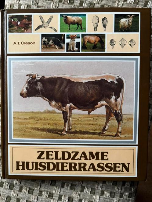 Zeldzame huisdierrassen / stichting zeldzame huisdierrassen, Boeken, Dieren en Huisdieren, Gelezen, Vee, Ophalen of Verzenden