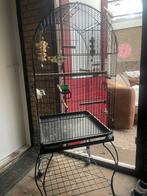 Een grote kooi, Dieren en Toebehoren, Vogels | Hokken en Kooien, Ophalen, Zo goed als nieuw, Metaal, Vogelkooi