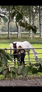 Gezocht hulp bij het uitmesten