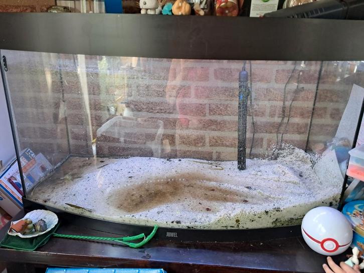 Juwel vision 180 te koop of te ruil, Dieren en Toebehoren, Vissen | Aquaria en Toebehoren, Zo goed als nieuw, Leeg aquarium, Ophalen
