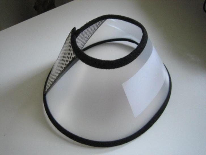 BESCHERMKRAAG/ DOG COLLAR  voor kleine hond, Dieren en Toebehoren, Honden-accessoires, Nieuw, Ophalen of Verzenden